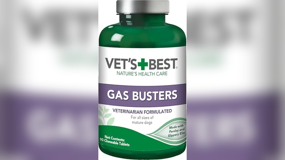 Best Dry Food for Gassy Dogs