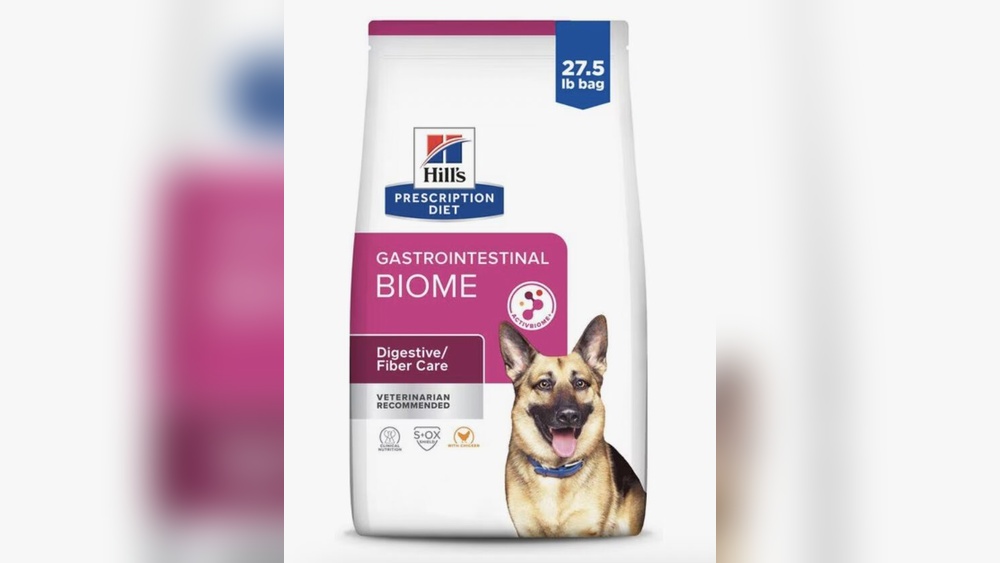 Best Dry Food for Gassy Dogs