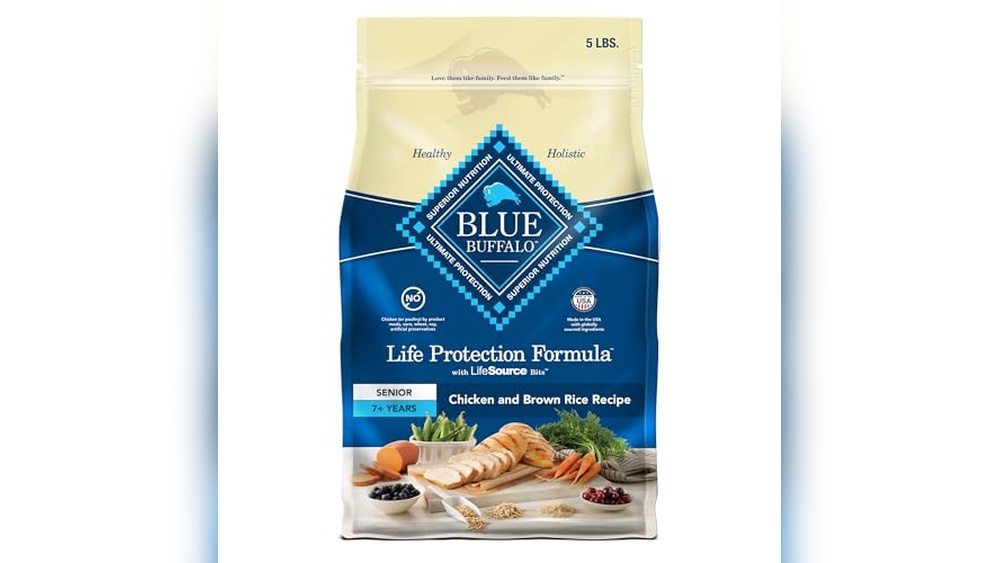 Best Dry Food for Older Dogs