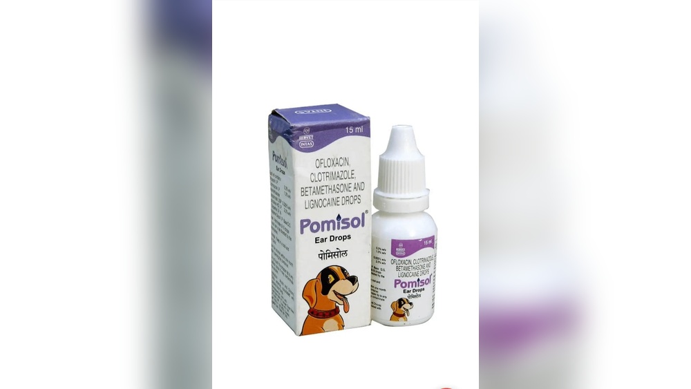 Best Ear Drops for Dog Ear Infection