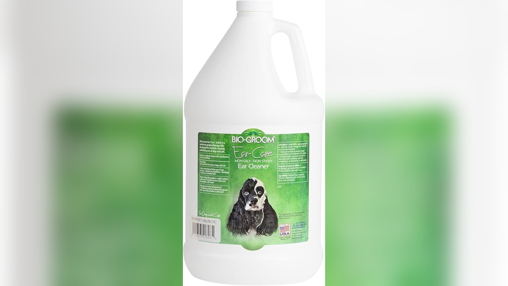 Best Ear Drops for Dogs After Swimming