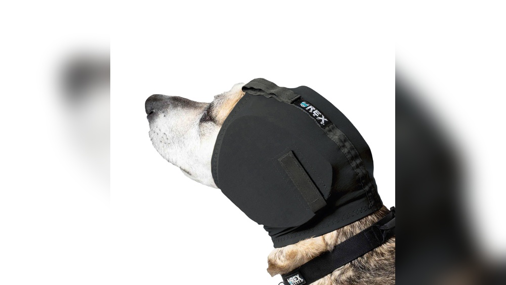 Best Ear Muffs for Dogs