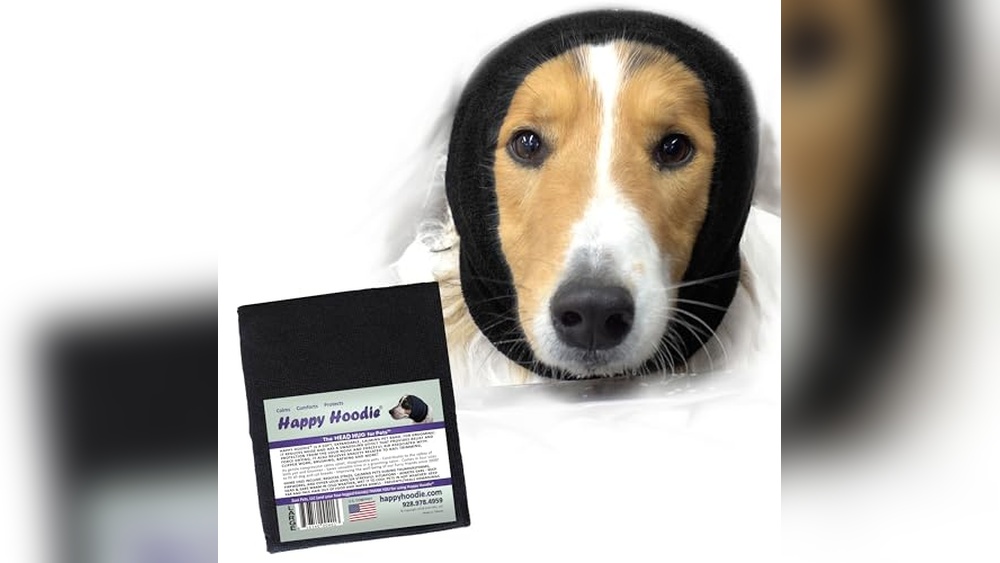 Best Ear Muffs for Dogs