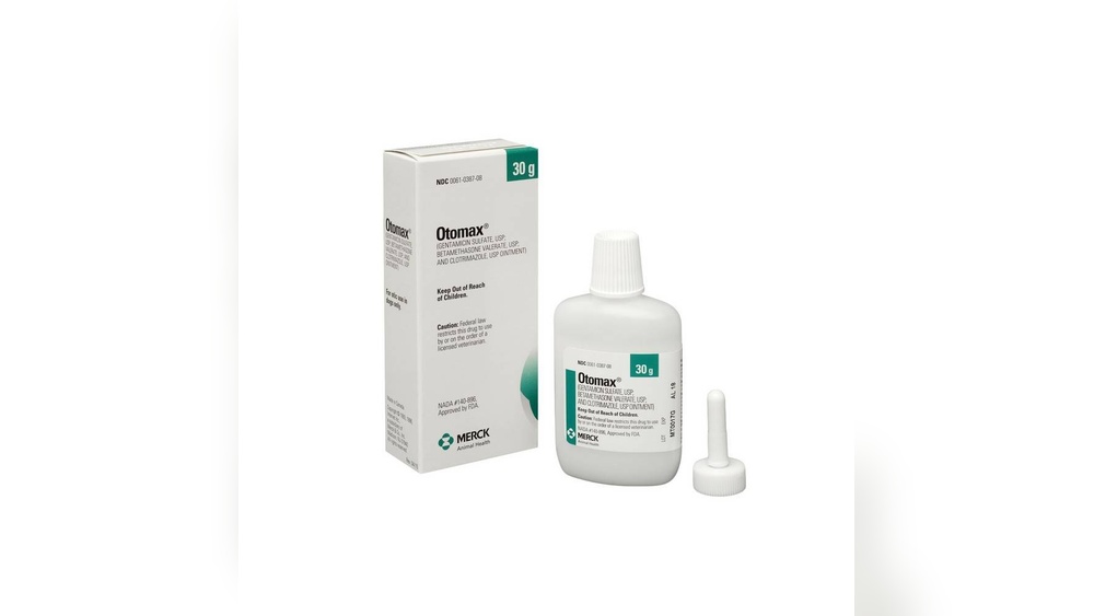 Best Ear Ointment for Dogs