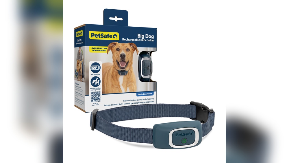 Best Electric Collars for Dogs