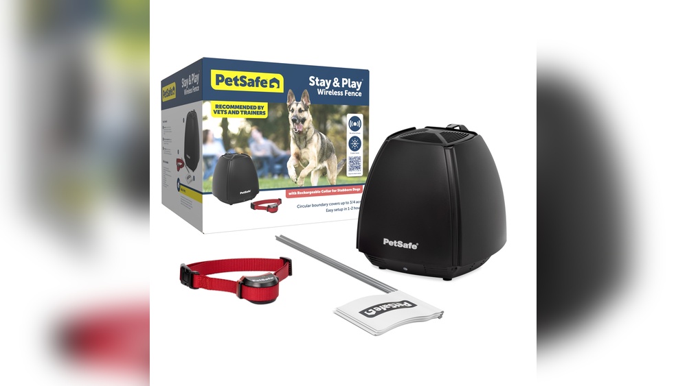 Best Electric Dog Fence for Large Dogs