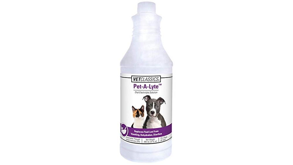 Best Electrolyte Drink for Dogs