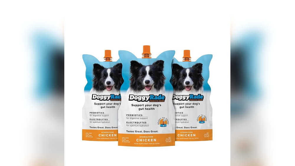 Best Electrolyte Drink for Dogs