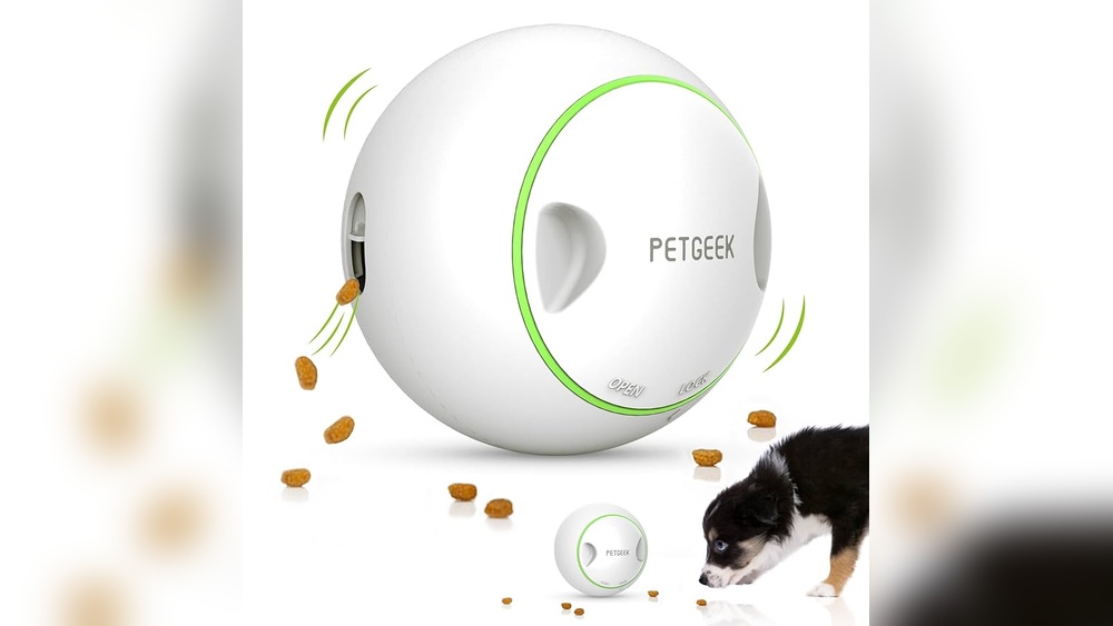 Best Electronic Toys for Dogs