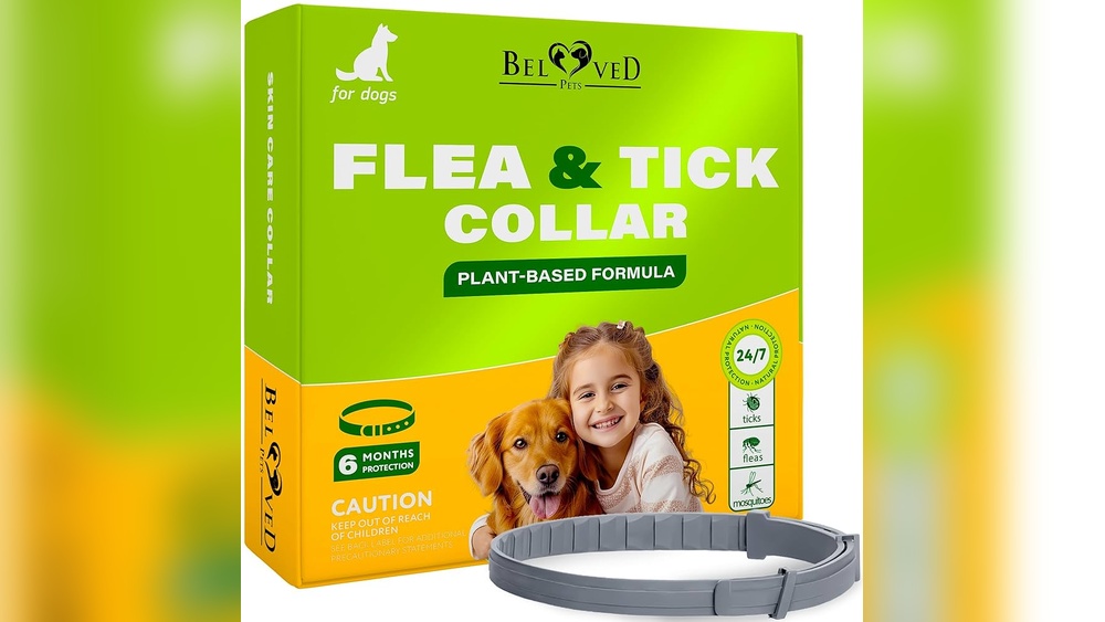 Best Essential Oil for Dog Fleas
