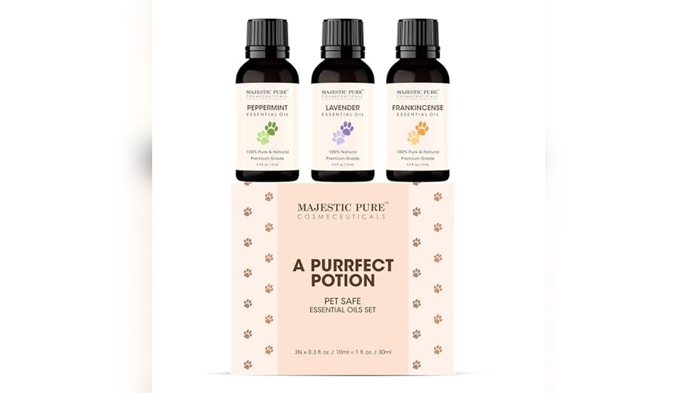 Best Essential Oil for Dogs