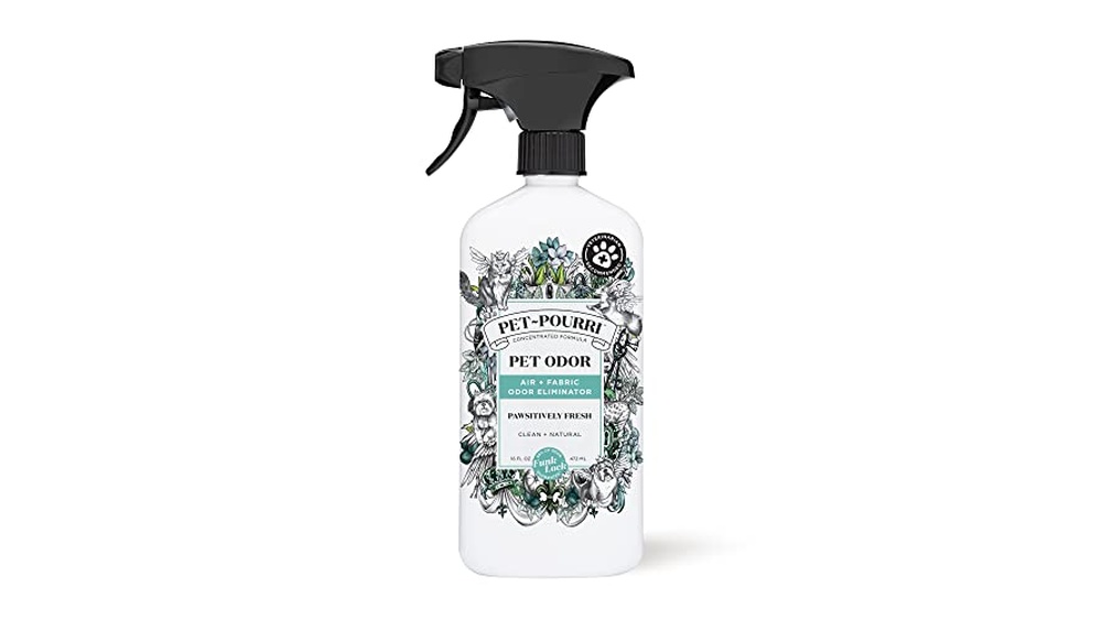 Best Fabric Spray for Dog Smell