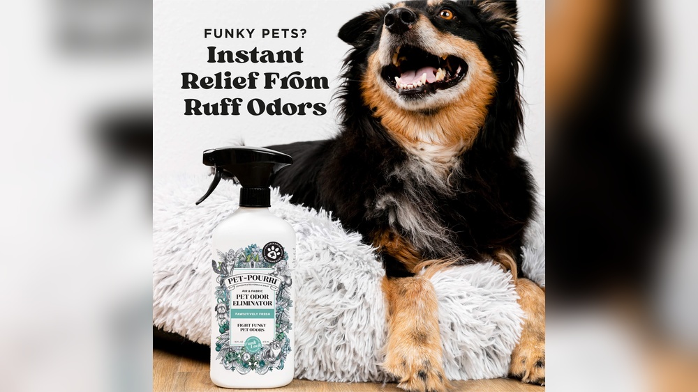 Best Fabric Spray for Dog Smell