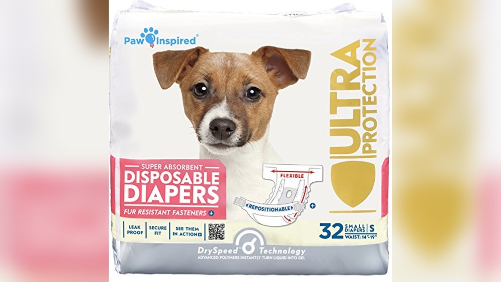 Best Female Dog Diapers for Incontinence