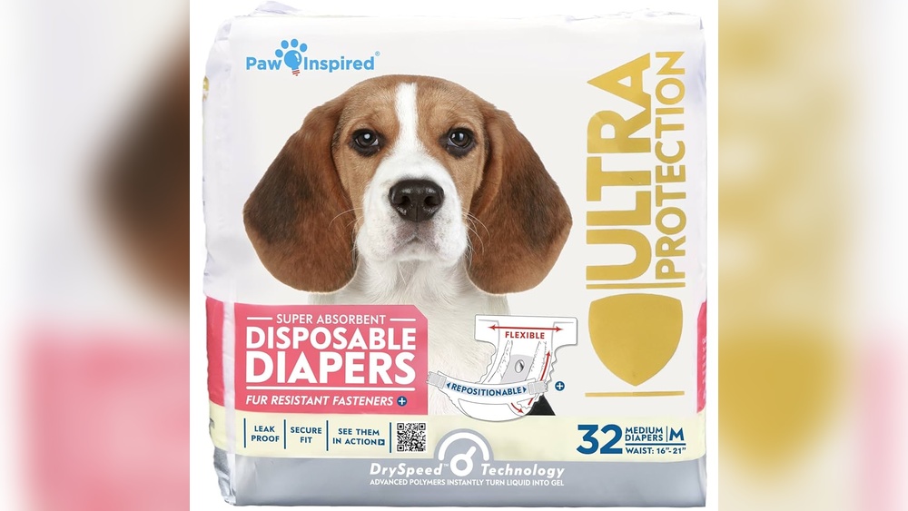 Best Female Dog Diapers for Incontinence: Top Picks for Comfort