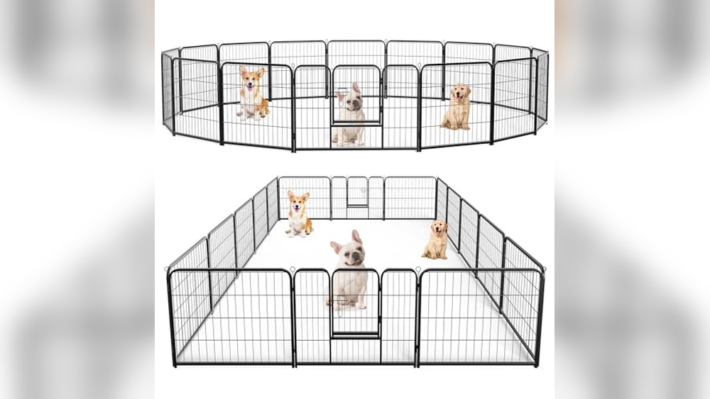 Best Fence for Small Dogs