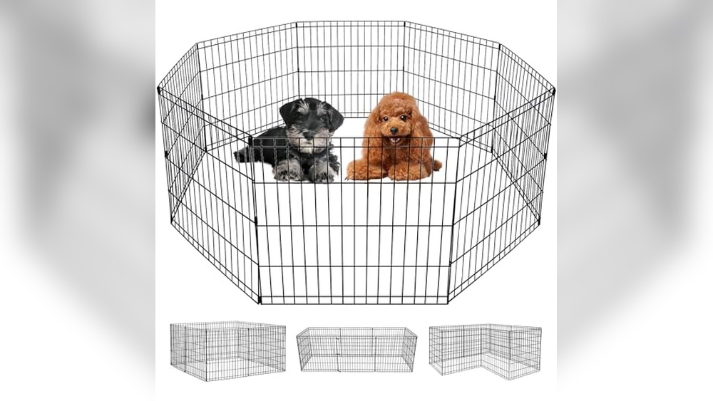 Best Fence Material for Dogs