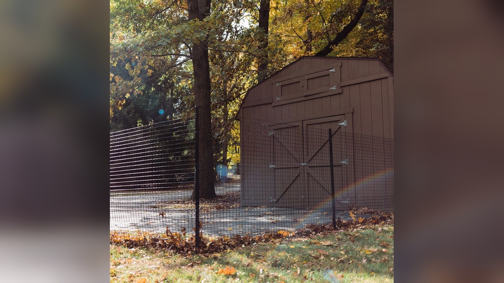 Best Fence Material for Dogs: Ultimate Guide to Durable Safety