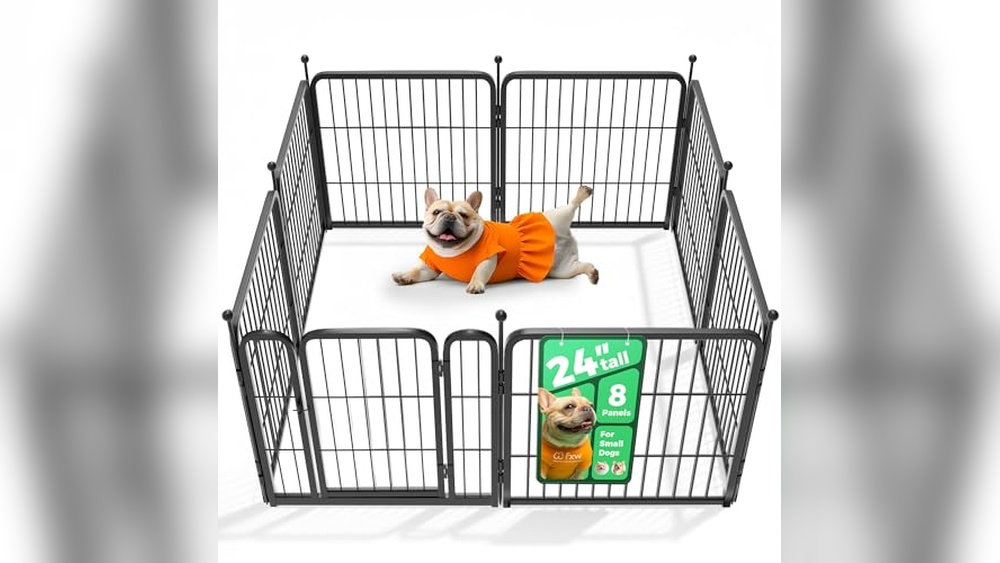 Best Fence to Keep Dogs in Yard