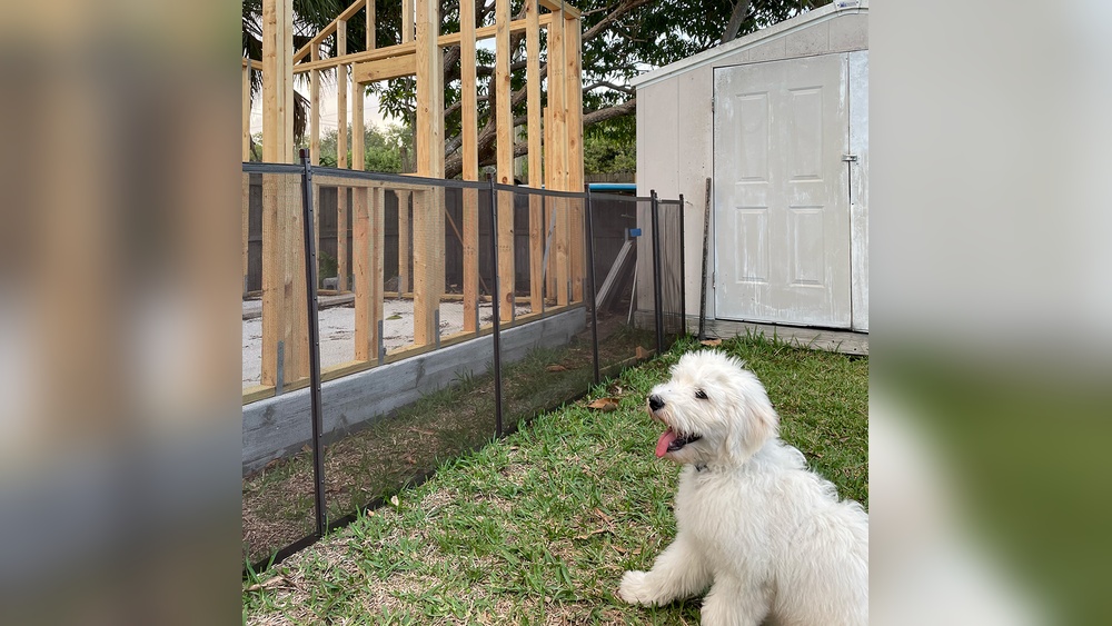 Best Fence to Keep Dogs in