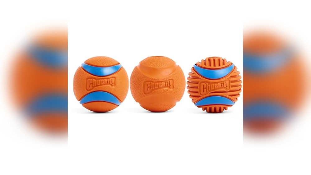 Best Fetch Balls for Dogs