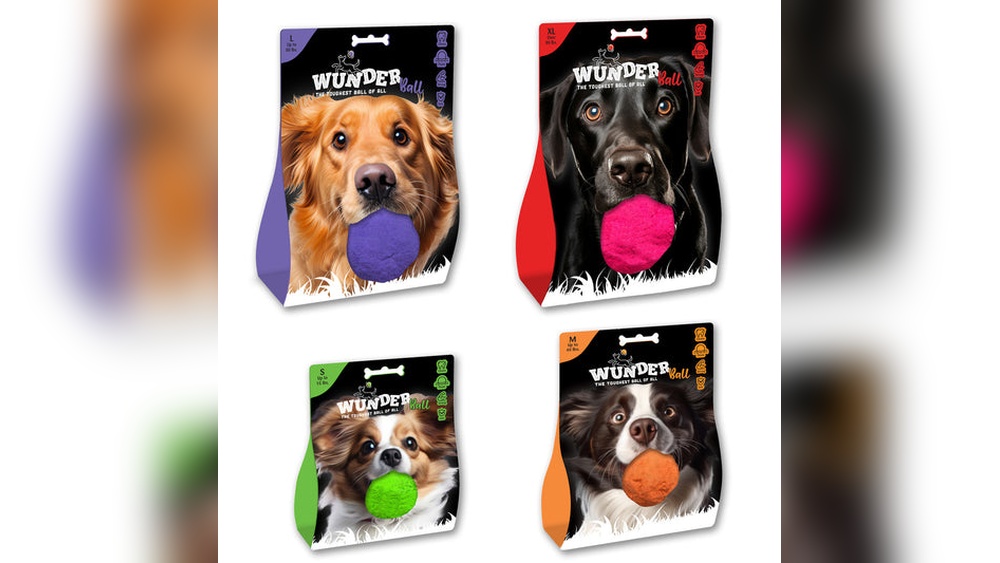 Best Fetch Balls for Dogs