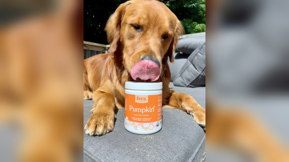 Best Fiber Supplements for Dogs