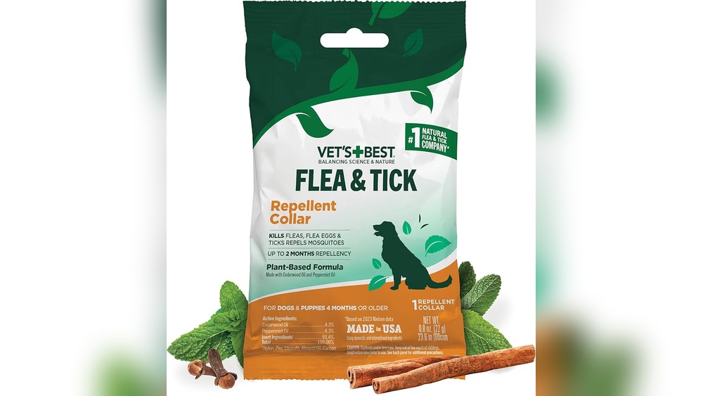 Best Flea And Tick Collar for Small Dogs