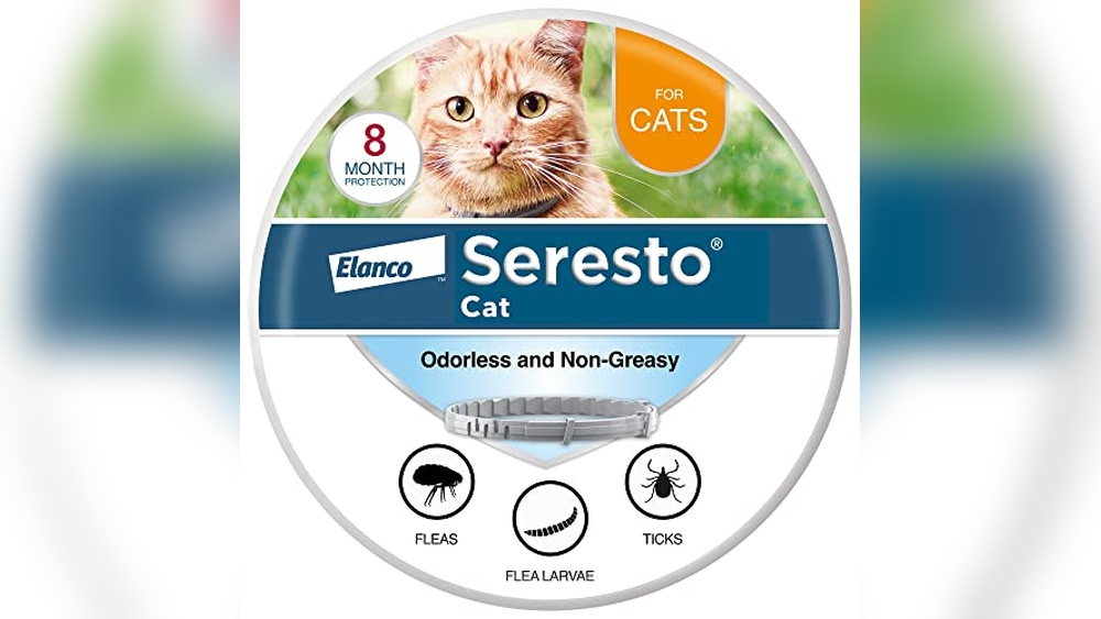 Best Flea Collars for Dogs And Cats