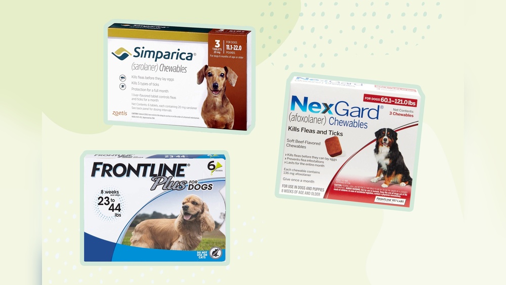 Best Flea Treatment for Pregnant Dogs