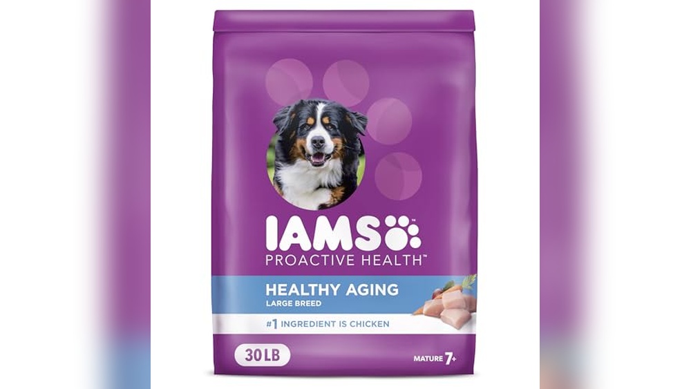 Best Food for Aging Dogs