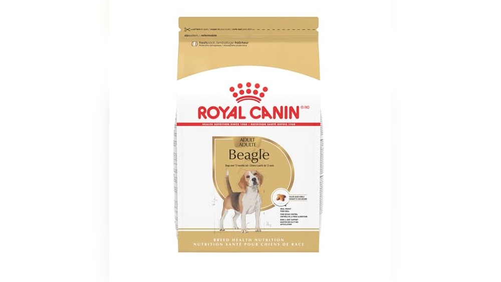 Best Food for Beagle Dogs