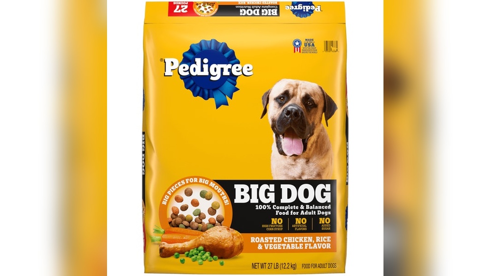 Best Food for Big Dogs
