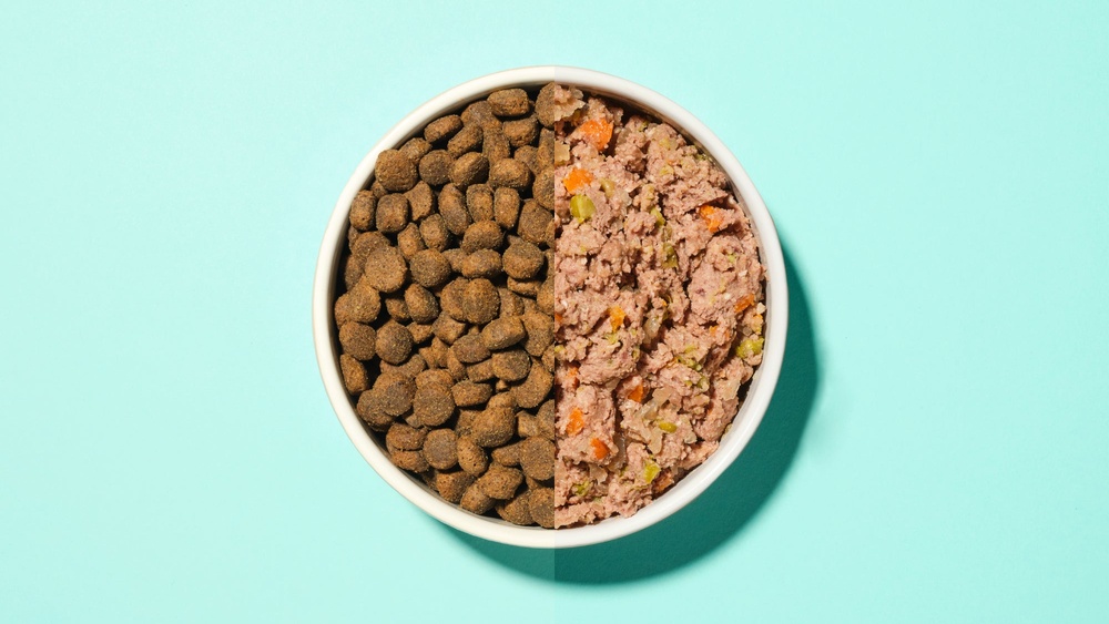 Best Food for Dog Teeth Cleaning