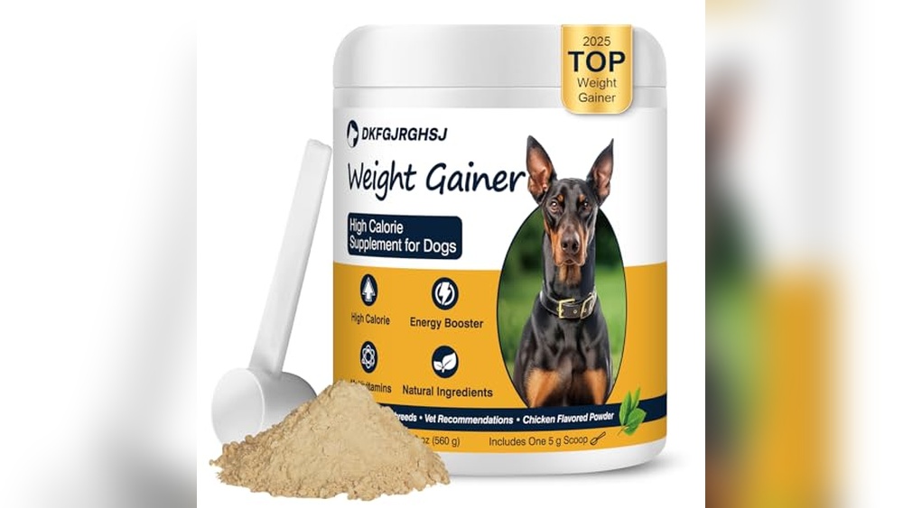 Best Food for Dog to Gain Weight