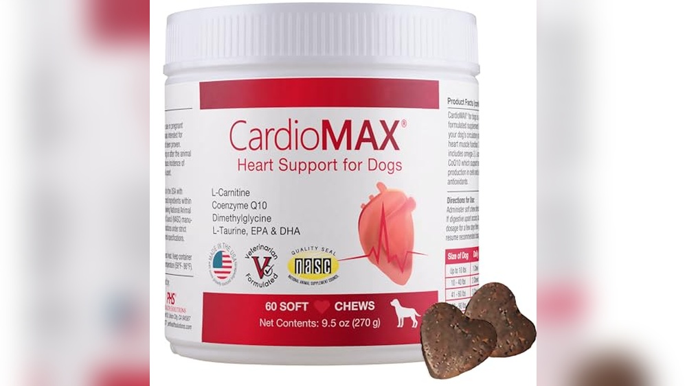 Best Food for Dog With Heart Murmur