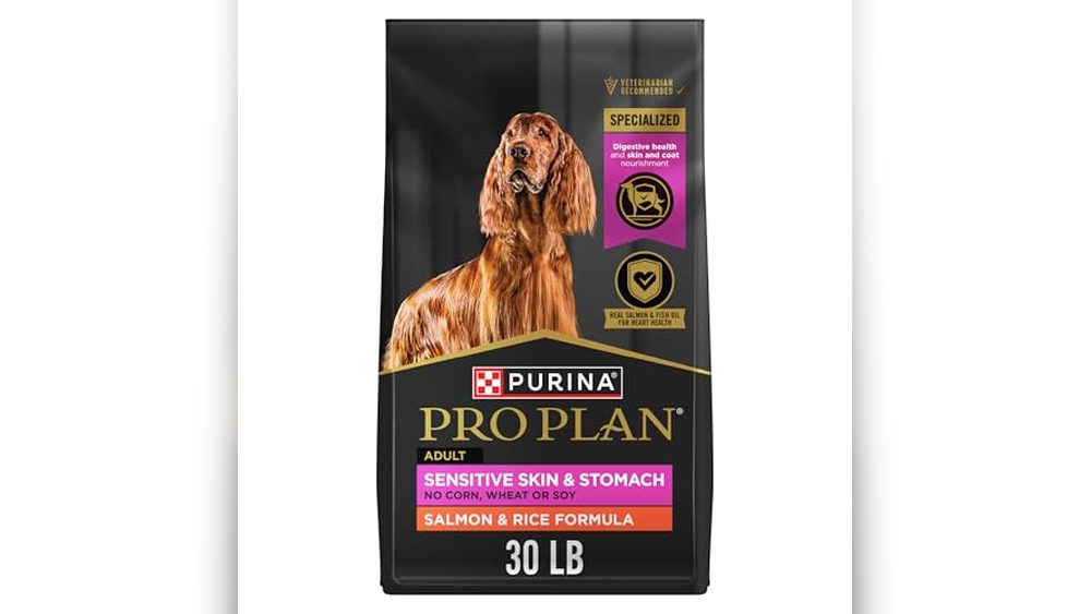 Best Food for Dogs With Allergies And Sensitive Stomachs