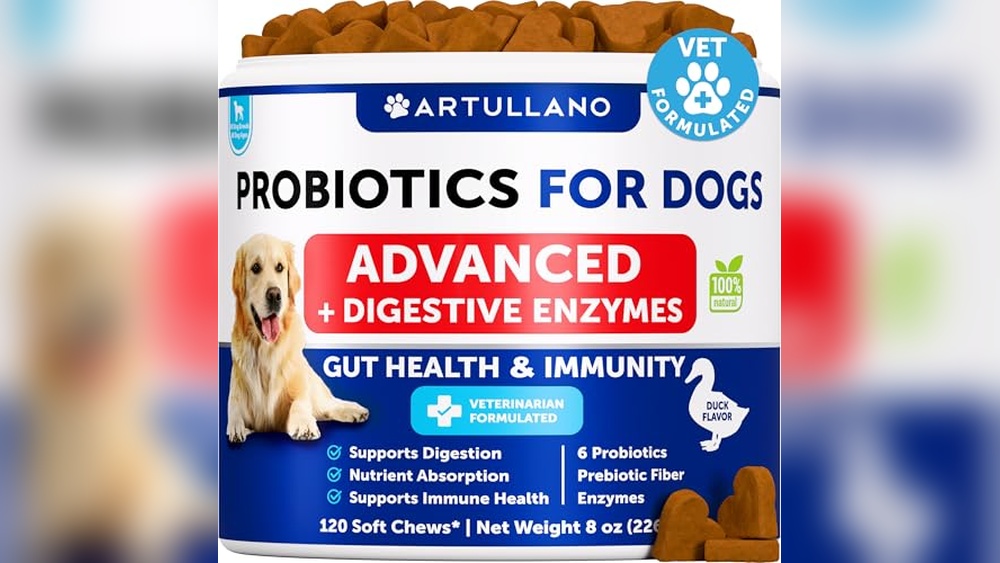Best Food for Dogs With Yeast Problems
