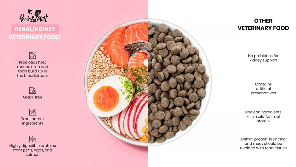 Best Food for Kidney Failure in Dogs