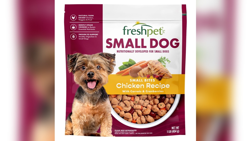 Best Food for Little Dogs