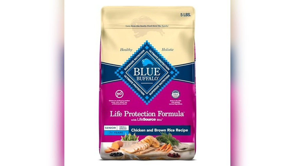 Best Food for Senior Small Dogs