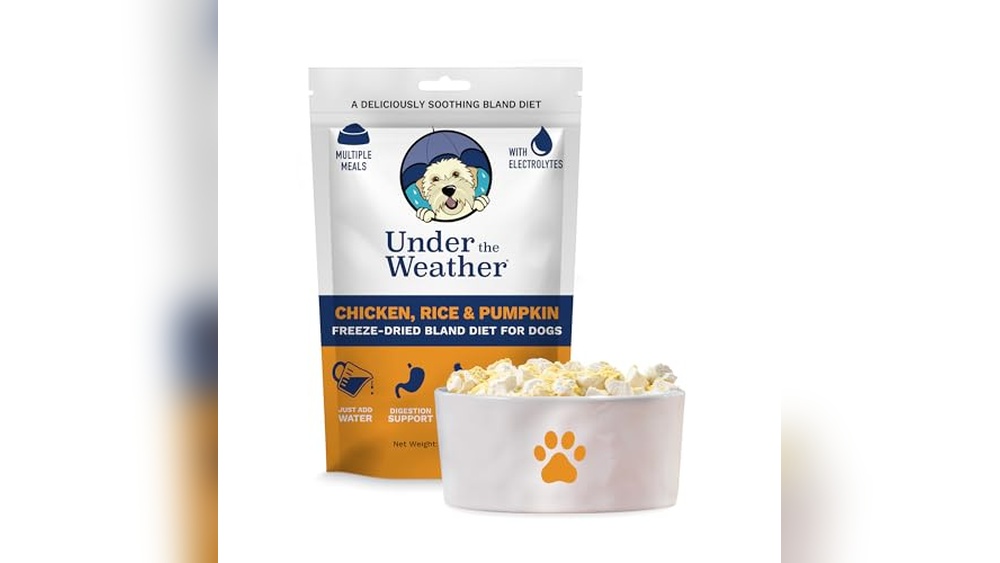 Best Food to Give Dog With Upset Stomach