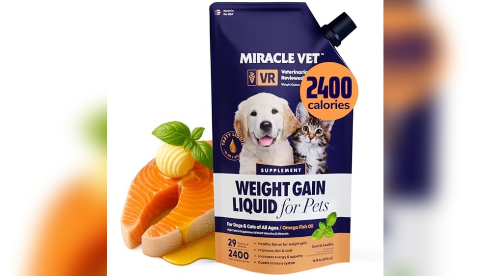 Best Food to Put Weight on a Dog