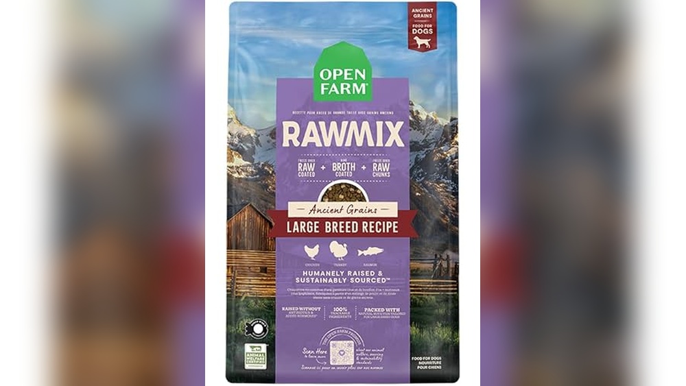 Best Freeze Dried Dog Food for Large Dogs