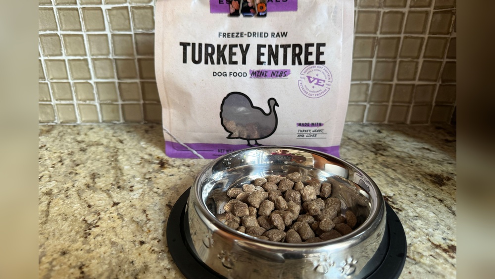 Best Freeze Dried Dog Food for Large Dogs