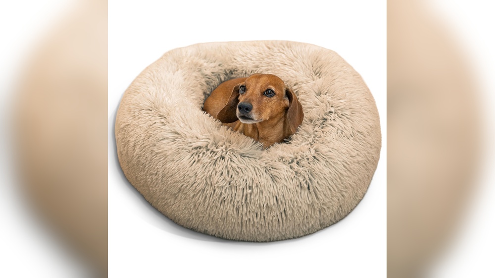 Best Friend by Sheri Dog Bed