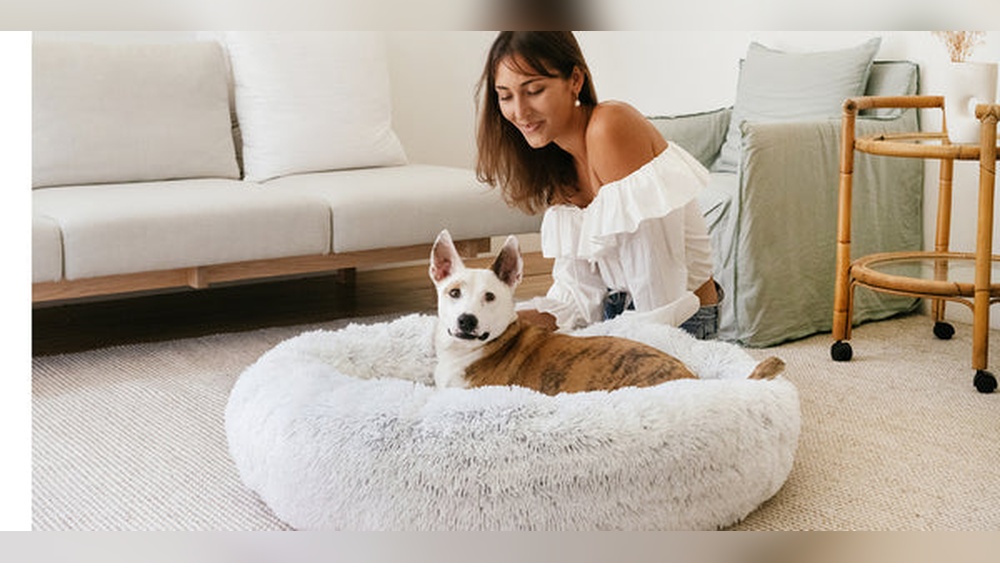 Best Friends by Sheri Dog Bed Washing Instructions