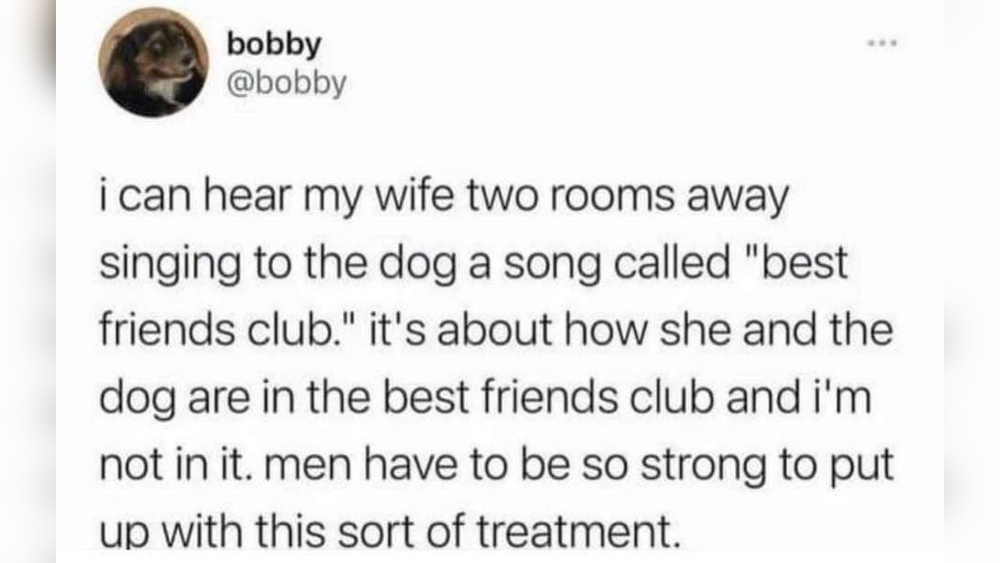 Best Friends Club Song Dog