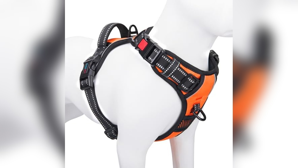 Best Front Clip Harness for Dogs