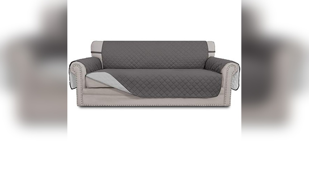 Best Furniture for Dog Owners